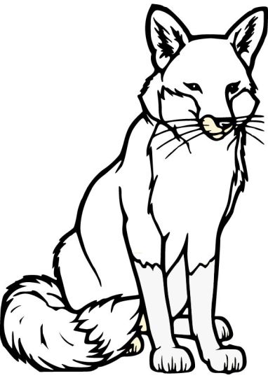 Fox  Coloring  Pages  for Preschoolers  Part 2